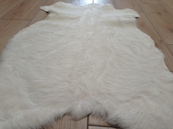 22b4eee9-5c1c-4e0c-a161-243a325ec457