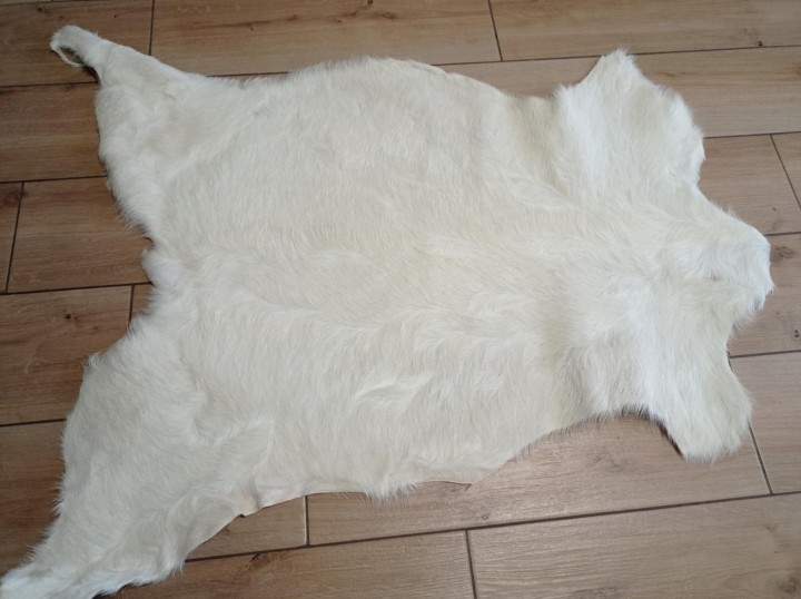 9a0acd0b-905c-4eb0-9205-82d2bd78a795