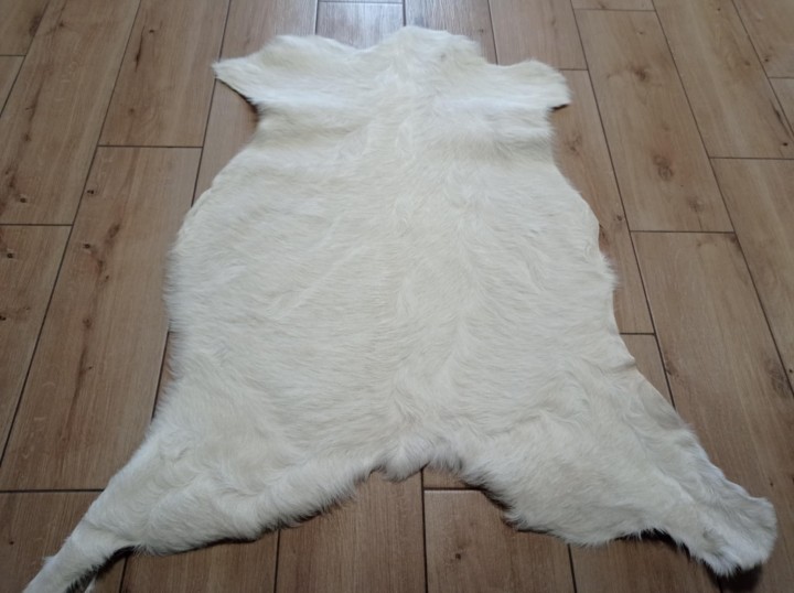 b76ca961-e684-41d1-ae2e-921d2d2ca5d9