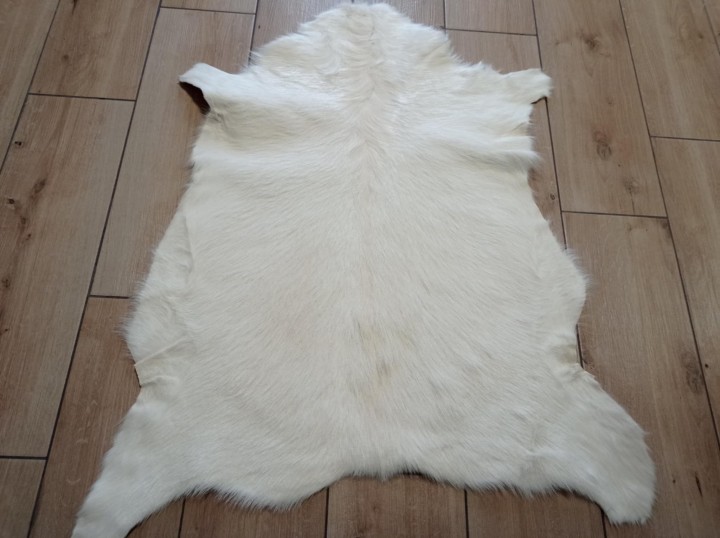 f281fbbc-bce8-4e11-bf74-4a510b9f20cc