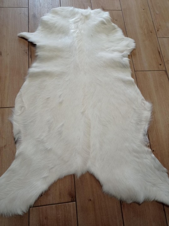 e87ca2eb-47cd-43b7-9486-0d33a83c85b7