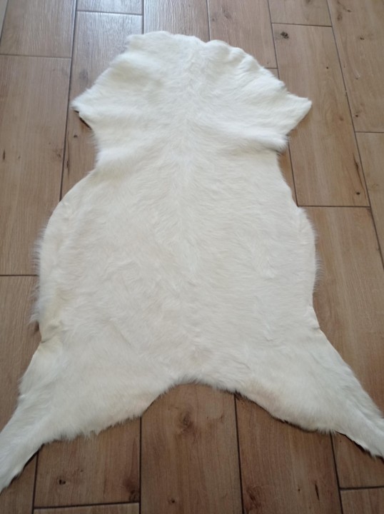 82ed0f2a-7400-4159-85f9-18ca340f614a