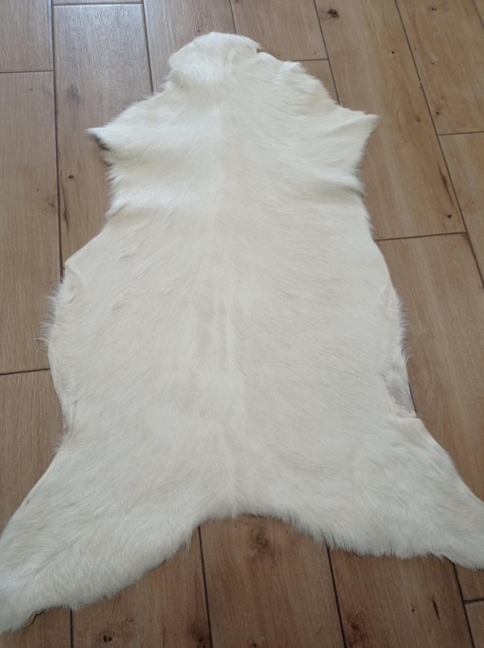 bb82b9a0-6dce-4f20-9879-a085e66f4b76