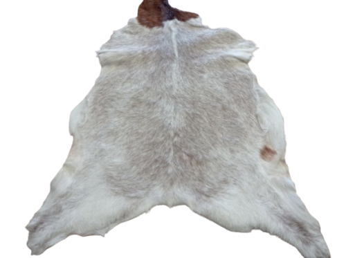 f5469d94-7df4-427f-bbf2-115353b5f05f-removebg-preview