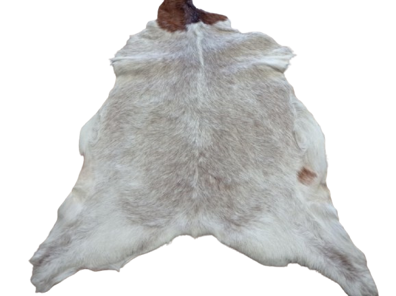 f5469d94-7df4-427f-bbf2-115353b5f05f-removebg-preview