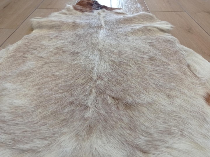 f86eed7b-a8c5-4f57-8d72-91e453ad2509