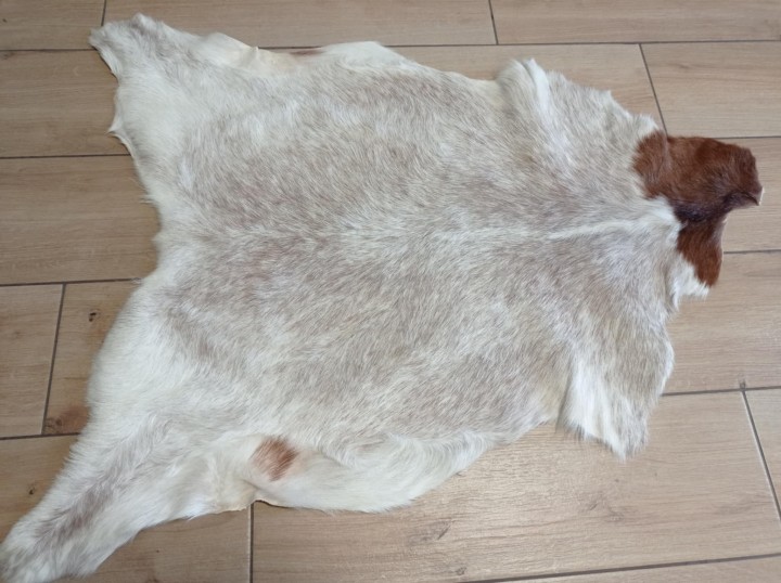 4784fa58-ab8b-41f4-9973-403071dd3090