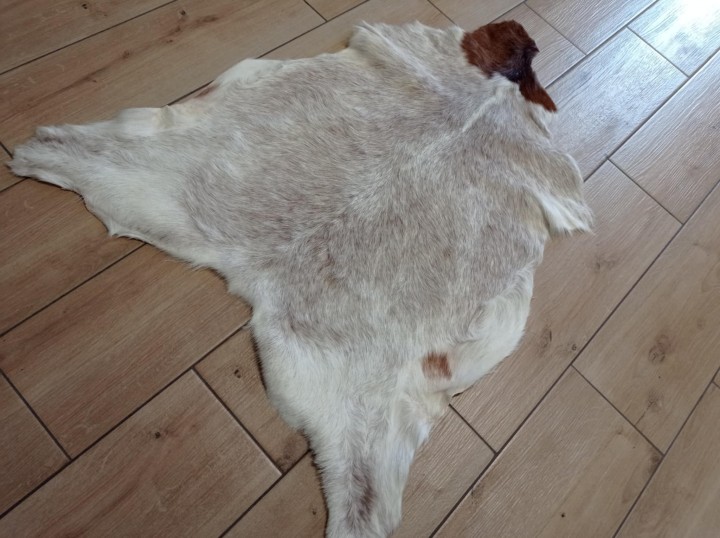 f7f310c2-b864-44a8-ae35-505f594e9e43