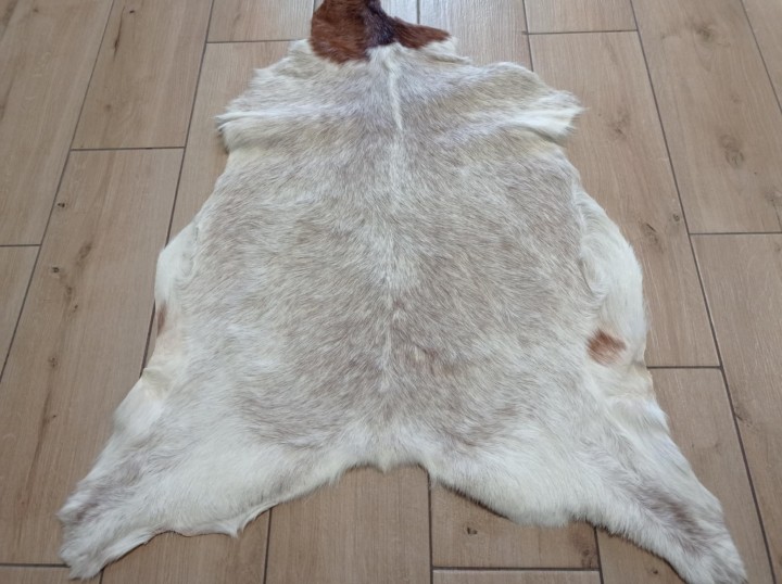 f5469d94-7df4-427f-bbf2-115353b5f05f