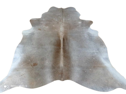 484517568_622302950582141_733402562038654612_n-removebg-preview