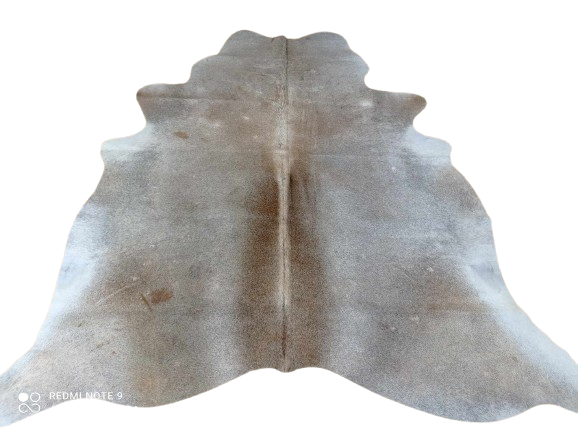 484517568_622302950582141_733402562038654612_n-removebg-preview