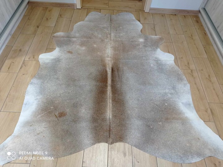 484517568_622302950582141_733402562038654612_n