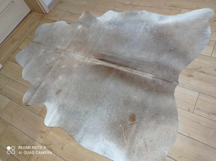 476887366_2356743301375999_2810238632454019325_n