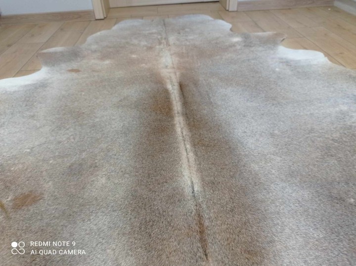 476719592_1162922478967080_8757899325889268622_n