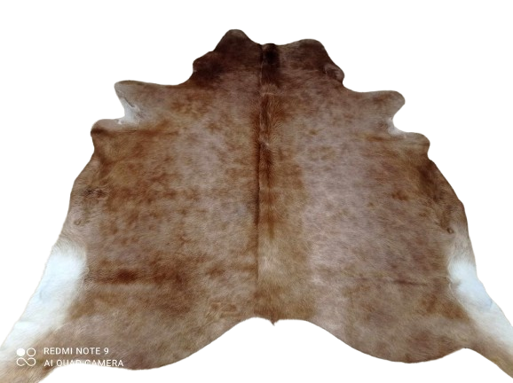 481495328_1076640637567264_8201406941109538994_n-removebg-preview