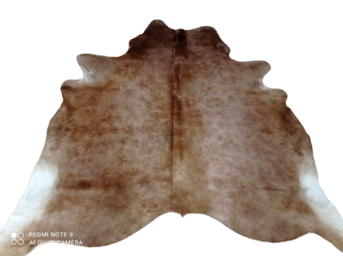 481495328_1076640637567264_8201406941109538994_n-removebg-preview