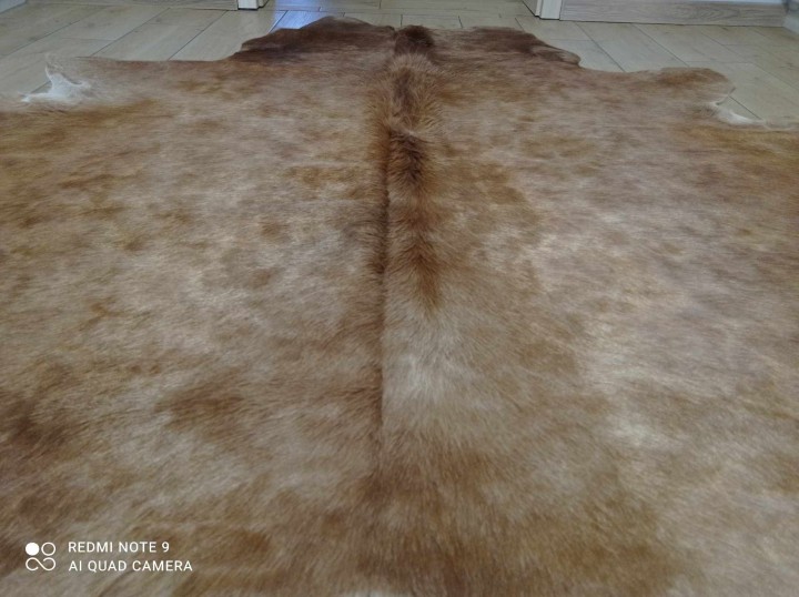 481386973_619453394047748_2236244864611525981_n