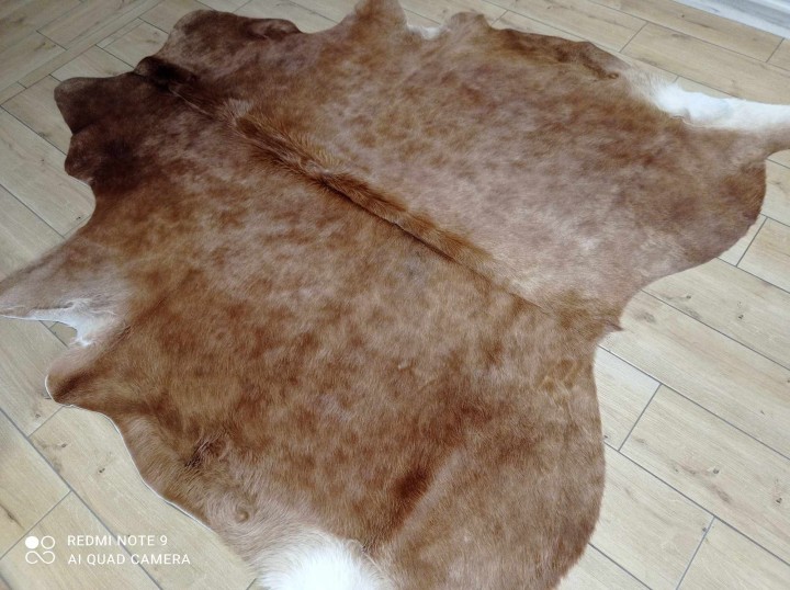 481601633_980399864044038_4383008036605181710_n