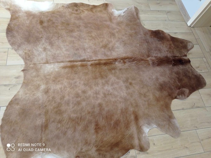 481615764_564624713256465_3205674058643901034_n