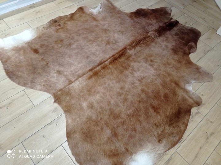 482364977_1313367276535101_7554977335548311214_n