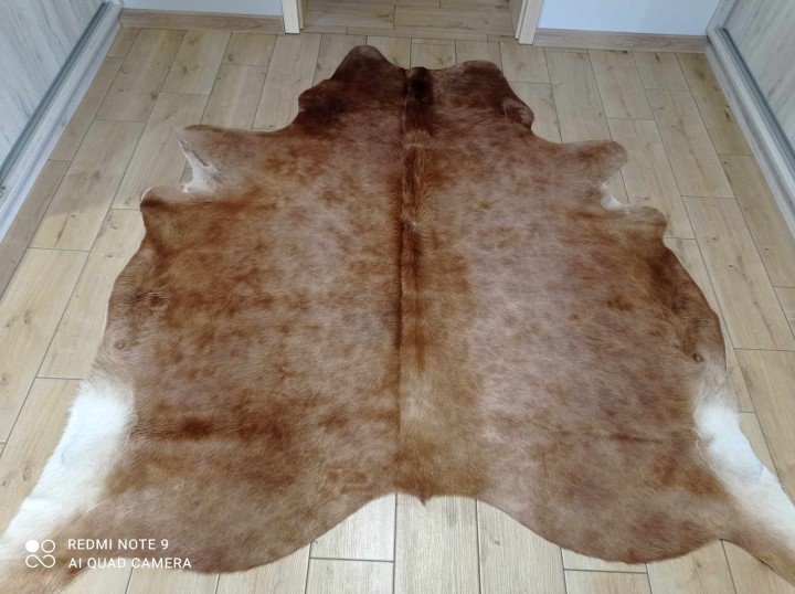 481495328_1076640637567264_8201406941109538994_n