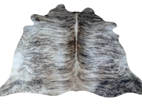 482370285_671437095312271_2706965754284820800_n-removebg-preview