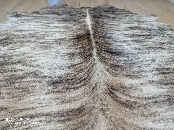 482904034_522012593856015_2727470277826186490_n