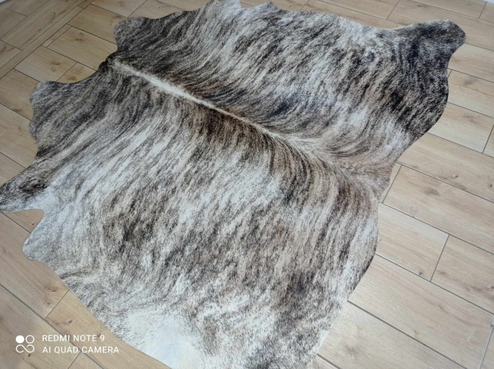 482910235_2408437702853049_1973520268388384765_n