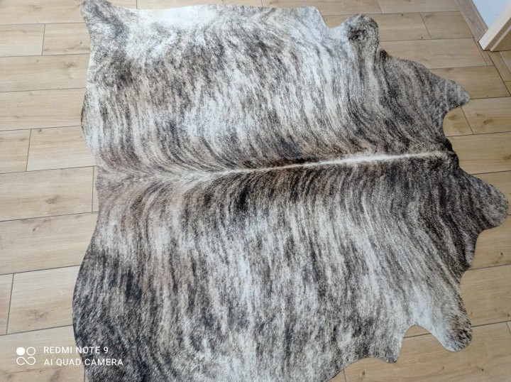 482429881_948176997093728_8789329002031340913_n