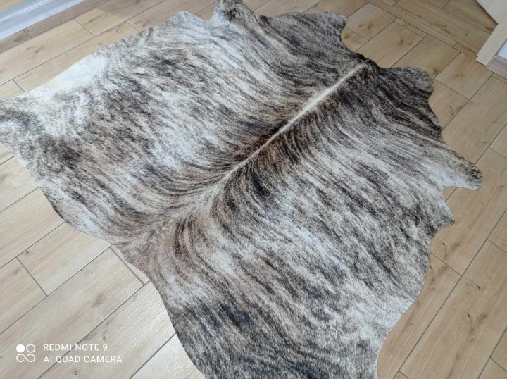 481898289_9389397547812772_3421695781651623898_n