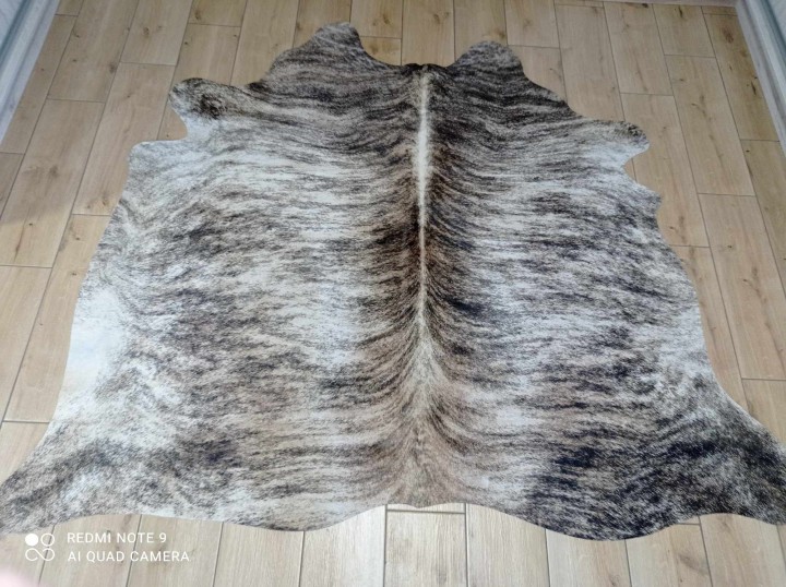 482370285_671437095312271_2706965754284820800_n