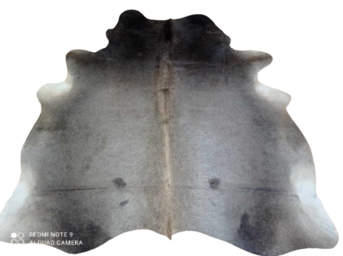 476887366_555217320888077_6236770129691541849_n-removebg-preview