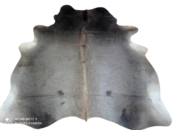 476887366_555217320888077_6236770129691541849_n-removebg-preview