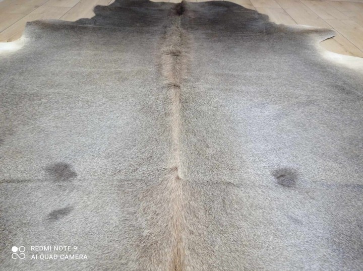 476999718_1115106250367253_7976733226015651207_n