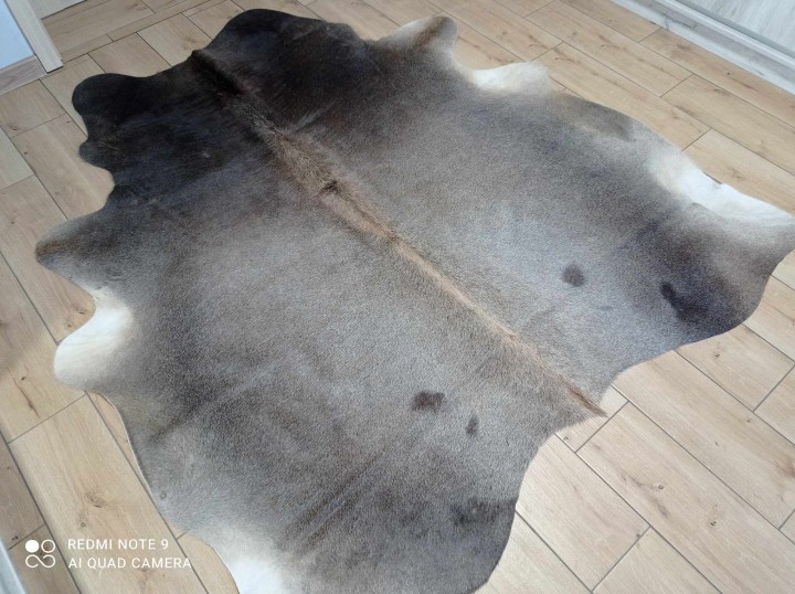 480927551_3364041047064446_5729402925100136109_n