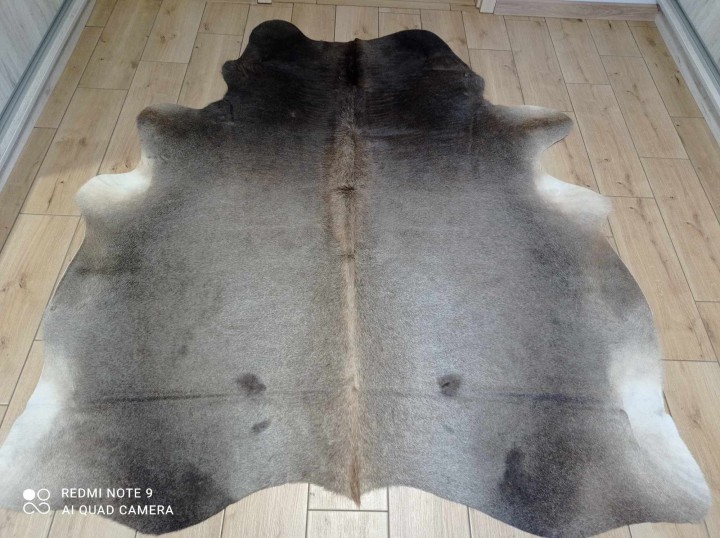 476887366_555217320888077_6236770129691541849_n