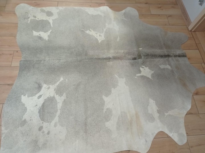 dd46cbd6-2eb4-458a-b6e8-eff5c00744ff