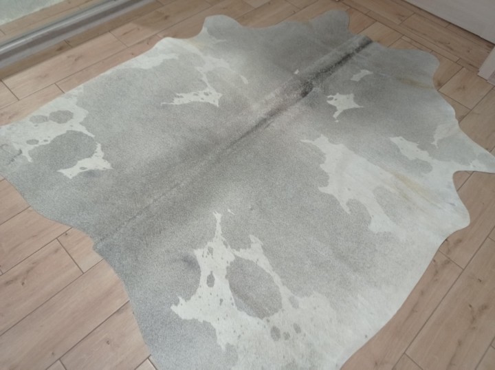 03dccd62-f9bf-413d-999e-bf18b41f61dd