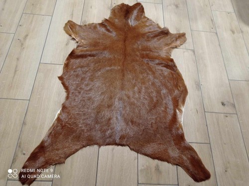 473142966_1331255348028661_268512855455358240_n