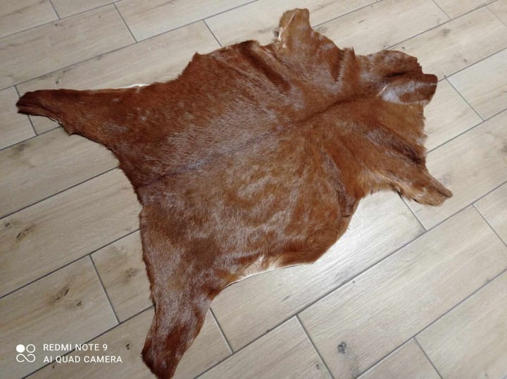 474172017_1990347401475263_6327385157497867303_n