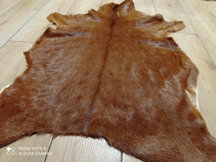 473701887_1328221734868852_9080605772424631540_n