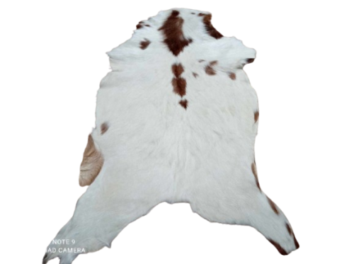 473749536_1350353272764862_8430158653458214425_n-removebg-preview