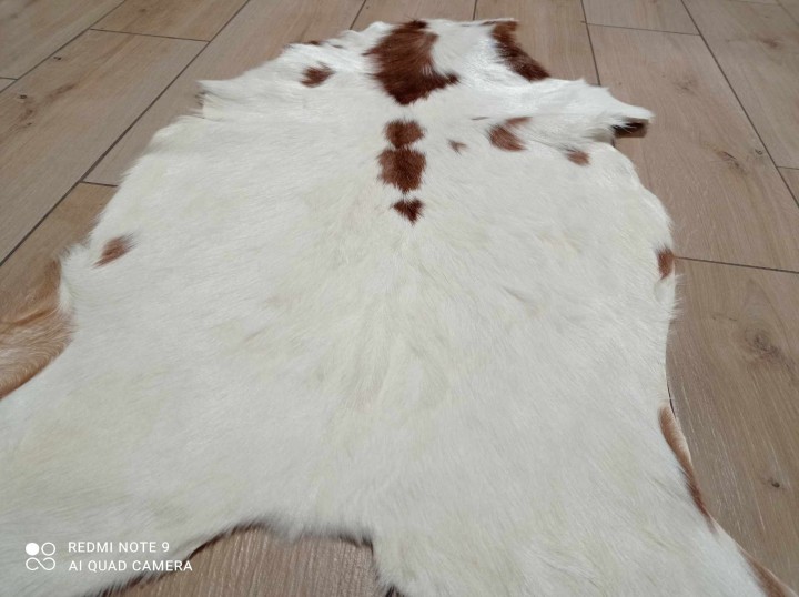 474487657_3894980130756493_1923448205819400756_n