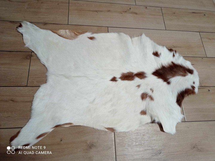 473710810_650760124123178_7523040219042346819_n