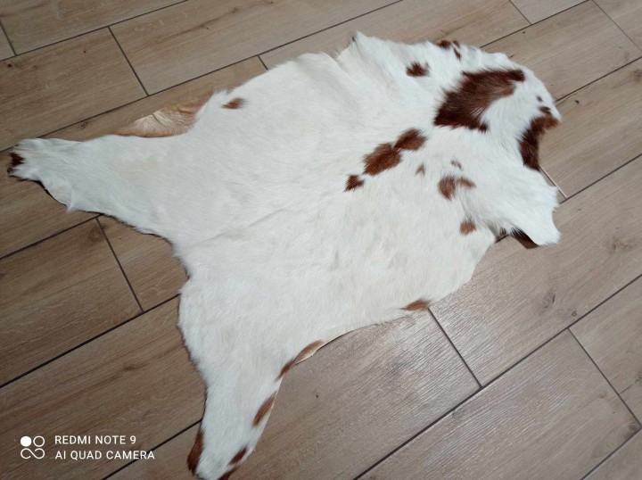 475486003_1835953877204109_761020428172836059_n