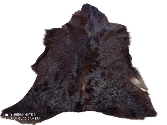 481387412_619198940734501_8034090400538983703_n-removebg-preview