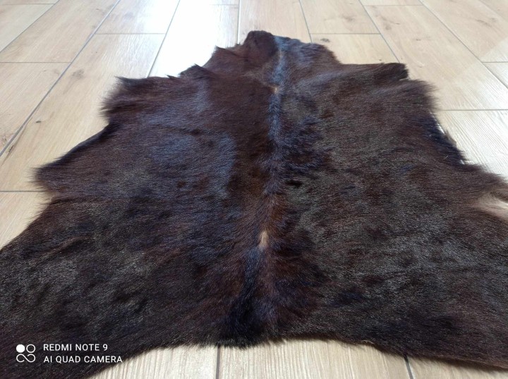 482403397_1711789403109625_8937962740489872327_n