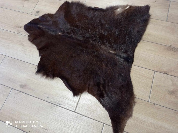 481825164_630719313007138_4542323368485705399_n