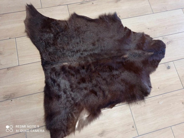 482459339_2444874012522822_4454191017495175884_n