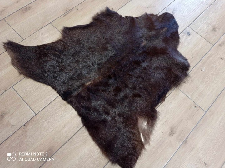 480961408_1158746132662021_4253689522284303349_n